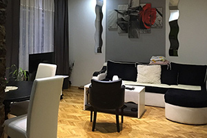 Kuća u I zoni sa dve stambene jedinice od toga prva, nova do ulice i druga, stara u produžetku...