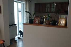 Prizemna kuća sa potkrovljem od 150 kvm u osnovi plus stara kuća do ulice, na placu od 504 kvm.