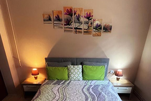 Kuća na Guduričkom putu površine 173 m2 na placu od 513 m2. Kuća ima dva potpuno odvojena stana od kojih je jedan lux apartman...