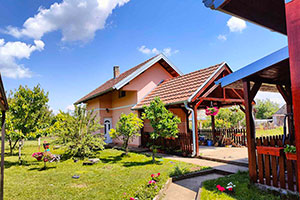 Kuća spratna u Pavlišu, od 124m2 sa još jednom kućom u dvorištu od 72m2 na placu od 1324m2...