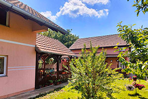 Kuća spratna u Pavlišu, od 124m2 sa još jednom kućom u dvorištu od 72m2 na placu od 1324m2...