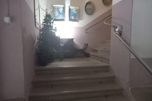 Prodaja, kuća, centar grada, 170 kvm, plus 25 kvm terase na kojoj se nalazi letnja kuhinja...