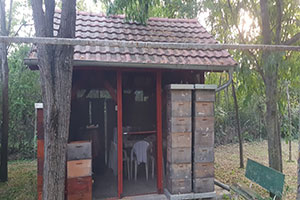 Vikend kuća, Mali Žam, na parcelama od 3142m2, u gradjevinskom području.