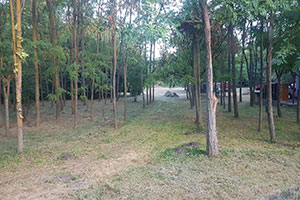 Vikend kuća, Mali Žam, na parcelama od 3142m2, u gradjevinskom području.