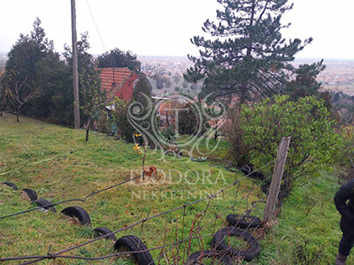P.11/25 Vršac, IV zona